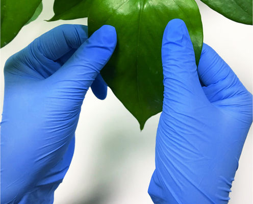 Non Medical FDA Disposable Food Prep Nitrile Gloves